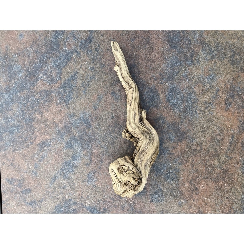 Natural Driftwood for Plants Terrarium Taxidermy Art Projects